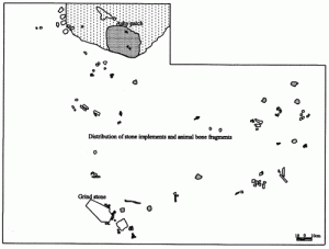 Excavated prehistoric habitation floor at Pallemalala