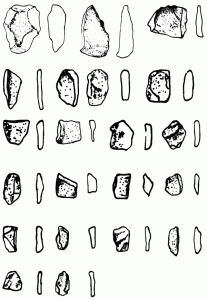 Excavated-stone-implements-(quartz)-at-Pallemalala