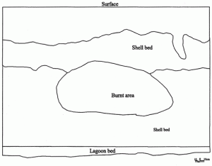 The soil profile of the excavated area at the site. 