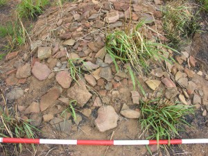 dense-accumulation-of-ancient-potsherds-galpaya