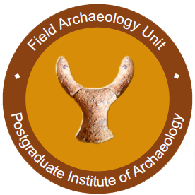 Archaeological Institutes