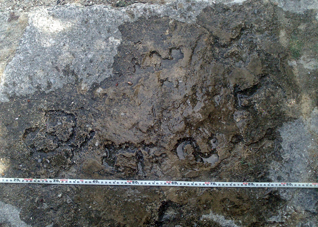 Tamil Inscription 01
