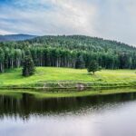 img_35420695