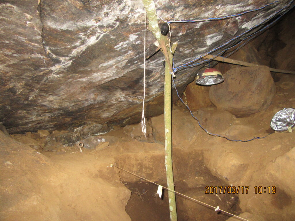 Lighting the inside of the cave.