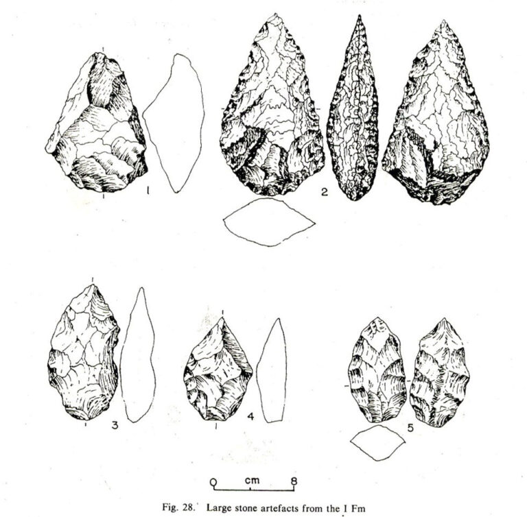 Prehistory of Sri Lanka 6: Paleolithic period