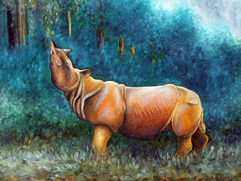 Prehistory of Sri Lanka 7 the Pleistocene flora and fauna of Ratnapura