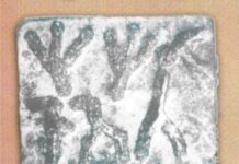 Annaikoá¹á¹ai Seal: Is it Tamil BrÄhmÄ«? – By Prasad Fonseka