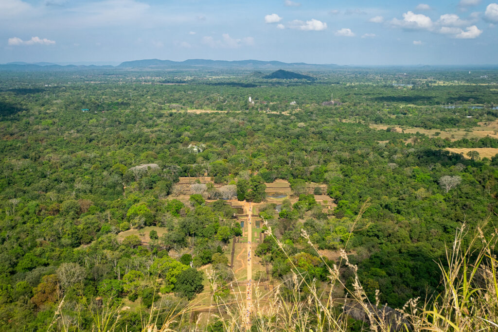 Sigiriya Garden