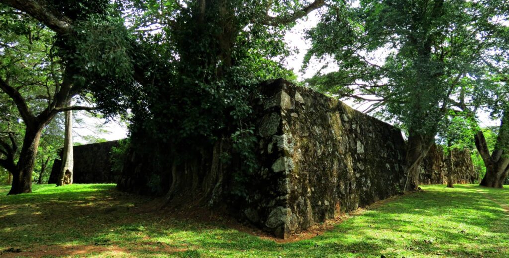 Katuwana Fort excavatio