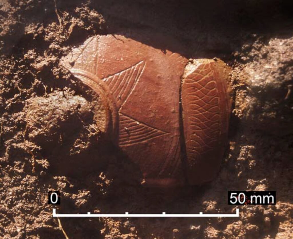 Sri Lankan pottery in situ, R.M. Jayasena,2000 Katuwana Fort excavatio